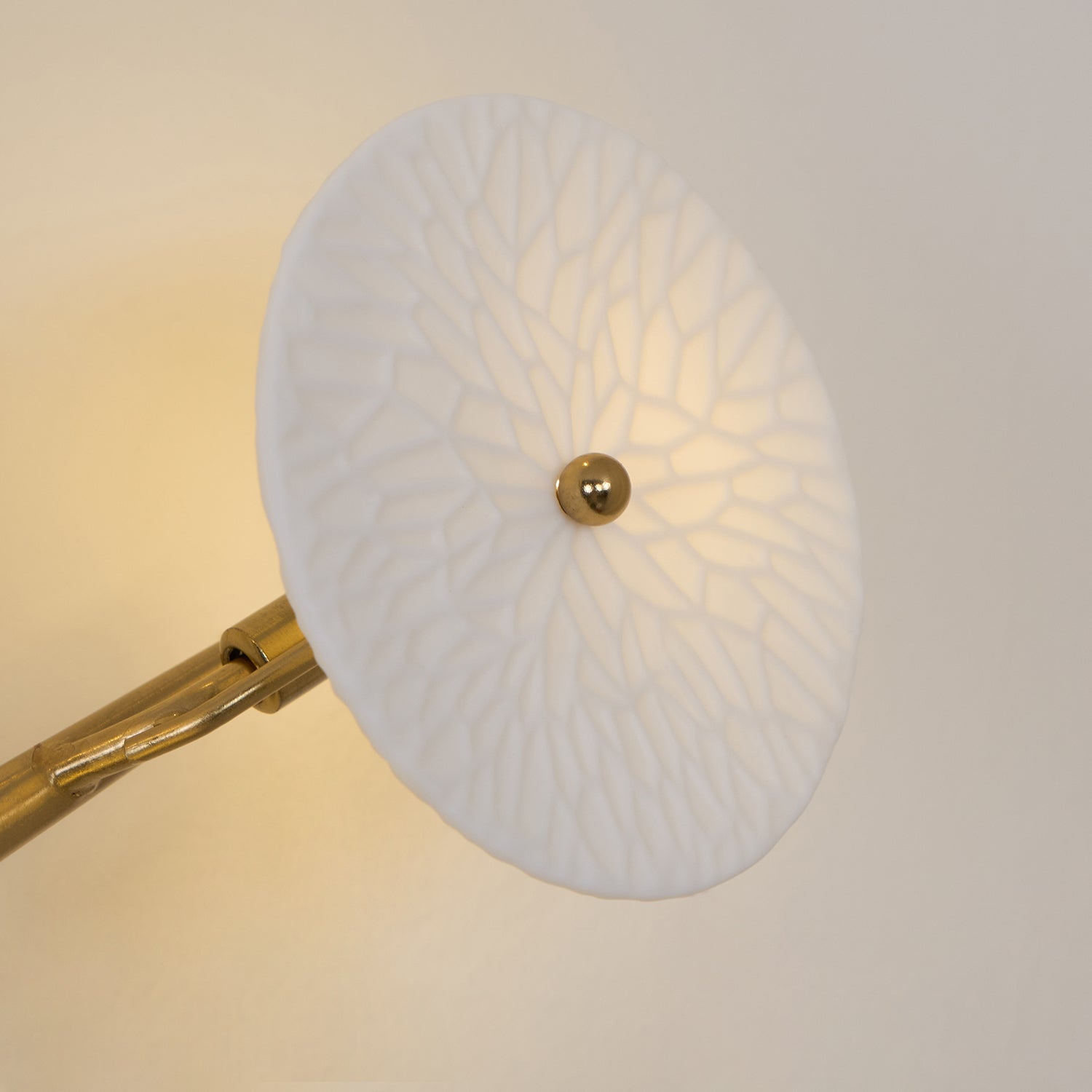Lotus Petal Wall Lamp - Letslighting